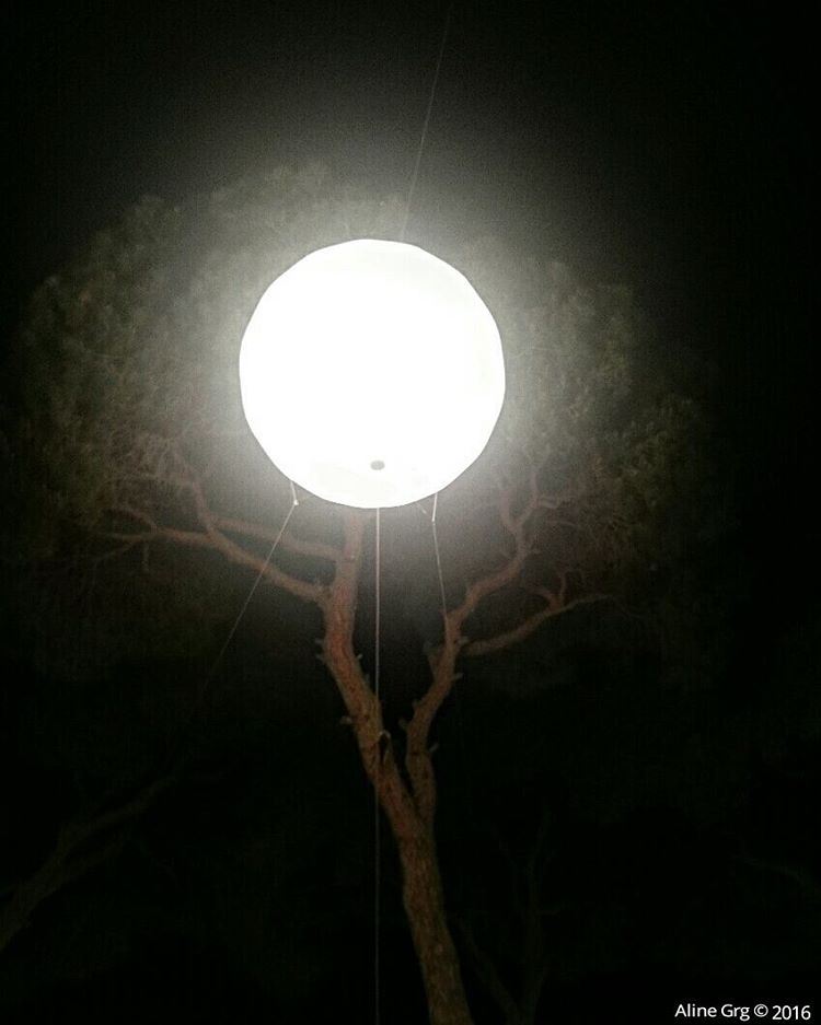 Like a Moon in the Tree .. letswalk  luna  thegardenshow ... (The Garden Show & Spring Festival)
