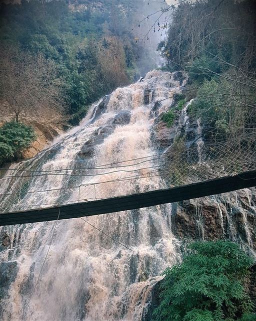 Like a waterfall, run wild and free...  wonders  naturephotography ... (Ouyoun El Samak Waterfalls)