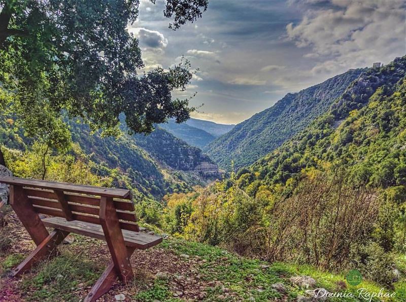 Like our friend @dounia.raphael said: “how long would you sit here?” 💚... (Kfardebian,Mount Lebanon,Lebanon)