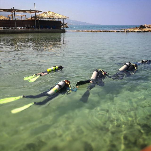 Line up -  ichalhoub in  Batroun north  Lebanon /  afpphoto @afpphoto ...