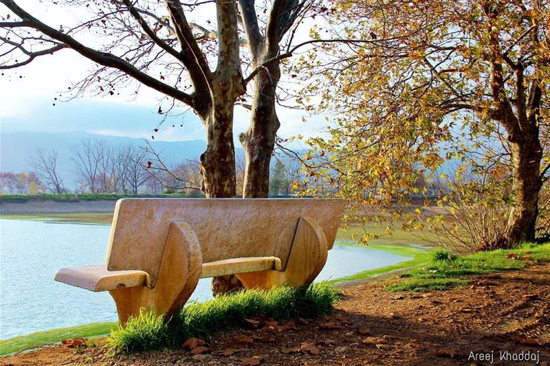 🔕Listen to the silence🍂🍁 (Taanayel- Bekaa)