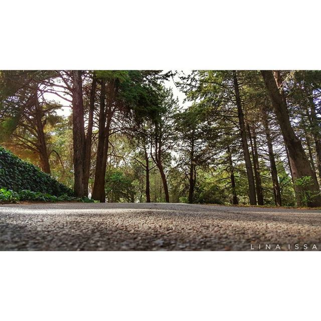 Listening to the silence is what make us feel existed. You have to... (West Bekaa)
