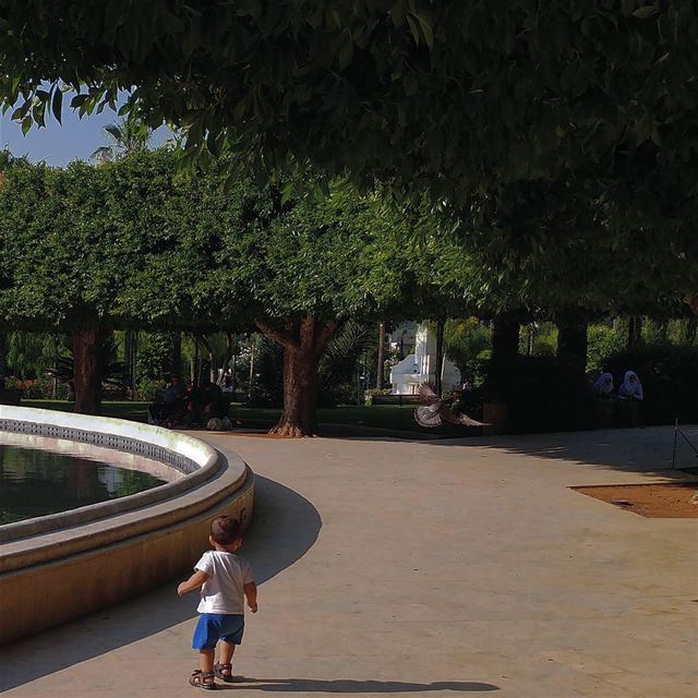 Little boy intent on playing with a pigeon learns the pigeon can fly away.... (حديقة الصنائع)