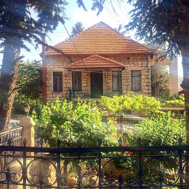 Little house in the mountain:::::::::::::::::::::::::::::::::::::::::::::: (Hammana)