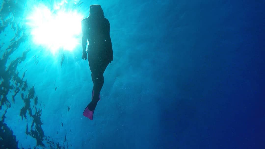 Live  free  diving  beachlovers  oceanscape  sunset_vision  underwaterlife...