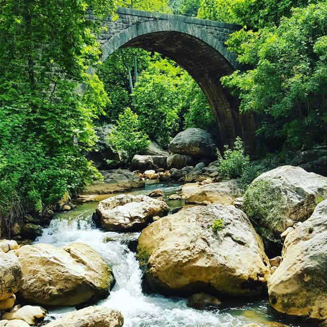 Live from Kfardebian🌲🌲🌲🌲🌲🌲🌲🌲🌲🌲🌲.Follow @PROMAXSPORTS on...