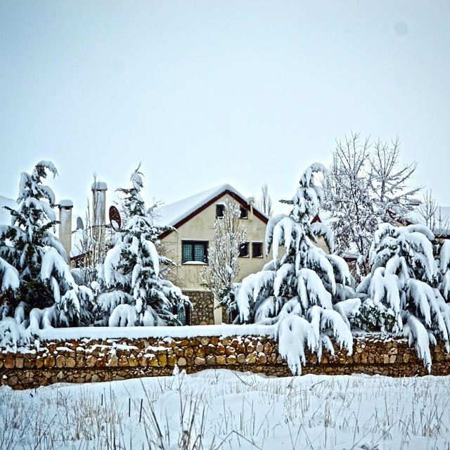 Live:Good morning from Al-ArzAwesome chalet covered with snowCamera :...