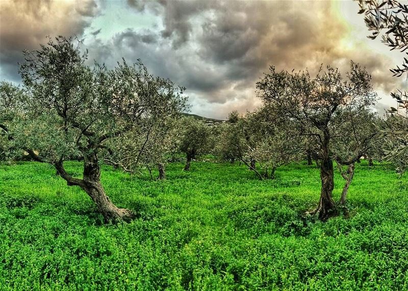 " Live in each season as it passes; breathe the air, drink the drink,... (Batroun Thoum)