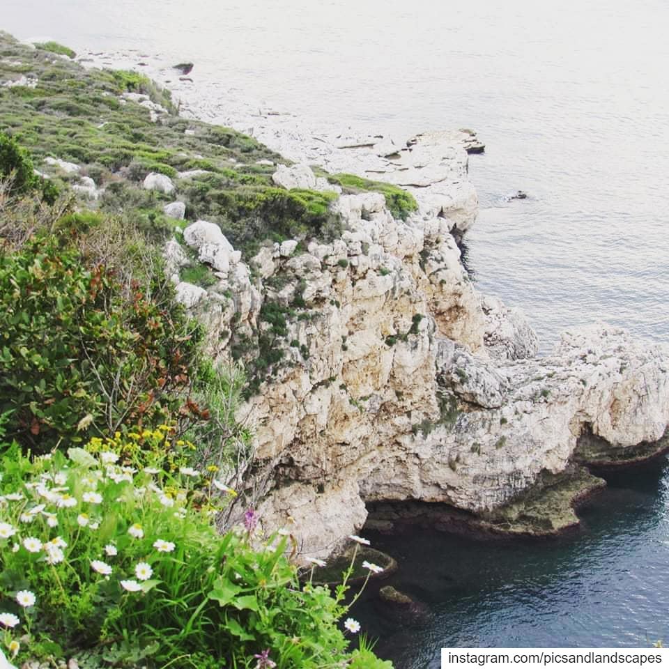 Live in the sunshine. Swim the sea. Drink the wild air. 🌷🌱🌺☘... (Hamâte, Liban-Nord, Lebanon)