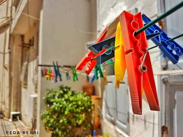 Live Life In Color 🐰 livelovetyre  livelovesouth  livelovebeirut ... (Tyre, Lebanon)