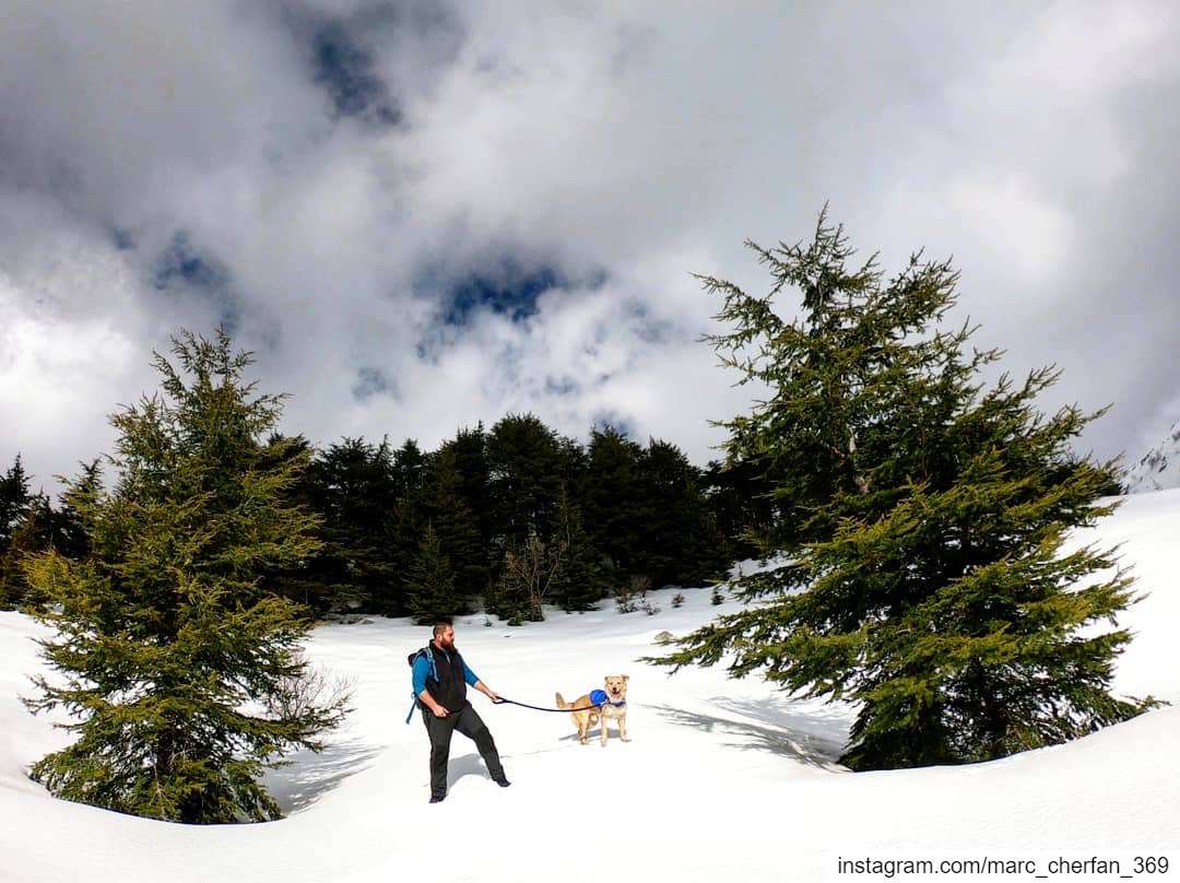 Live Life Like There's No End To Your Leash 😎👌 Hiking With  Lucky 🐕🌲❄️ (Shouf Cedar Ain Zhalta)