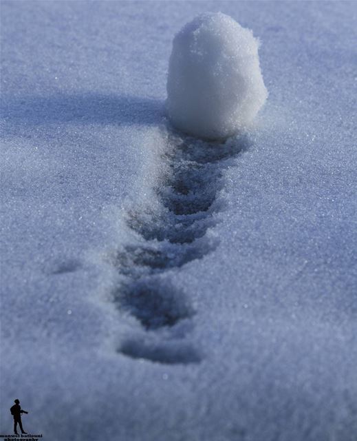 Live life to the fullest, and focus on thepositive. snow  macro  chouf...