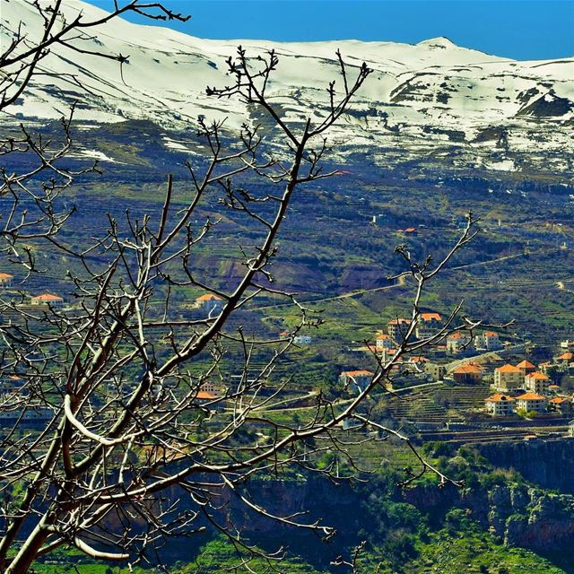 Live Love Bsharri 2 SacredValley  Bsharri  LiveLoveLebanon  ... (Bsharri District)