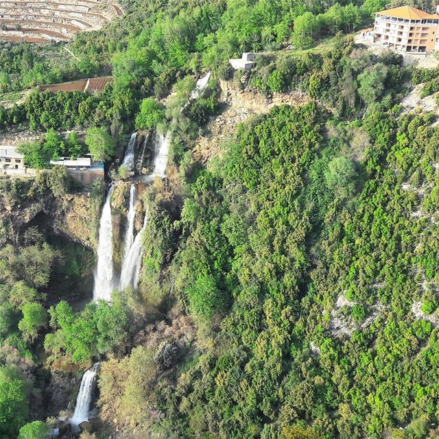 Live Love Lebanese natural landscapes 💚 Kfarhilda  LiveLoveTannourine ... (Kfarhilda, North)