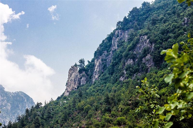 Live love nature  wearelebanon  lebanon  jabalmoussa  lebanonspotlights ... (Yahshush, Mont-Liban, Lebanon)
