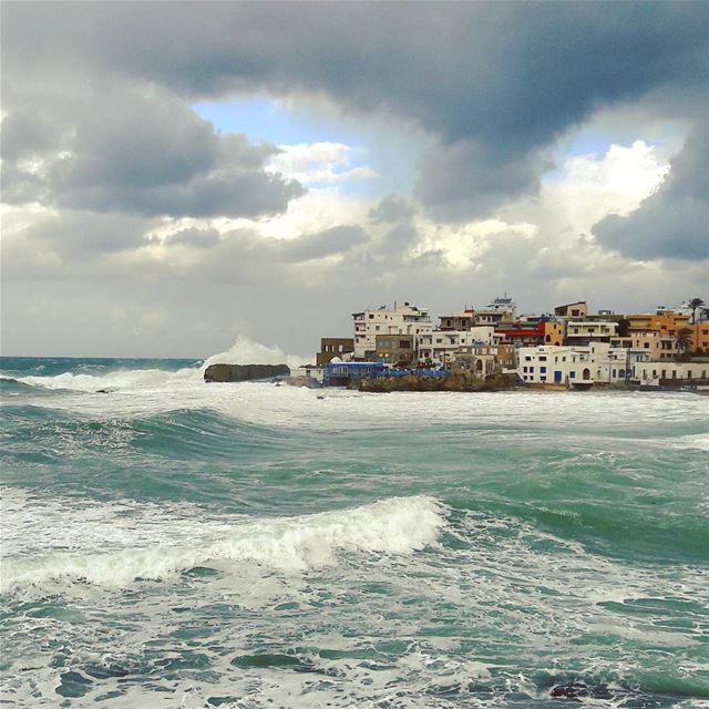 Live Love Winter 🌊🌊🌊  Batroun  Lebanon  Winter   Lebanese ... (CNRS- National Center for Marine Sciences)