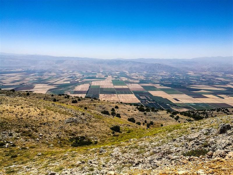 Live ✌️✌️ all the way to the  top 🇱🇧🇱🇧................... (Al Shouf Cedar Nature Reserve)