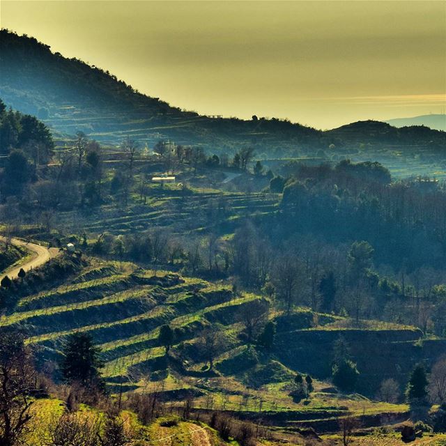 💚💛💚💛 🌅 LiveLoveAkkar   Akkar  Qammouaa  Golden  Sunset  Sky ... (El Qammoûaa)