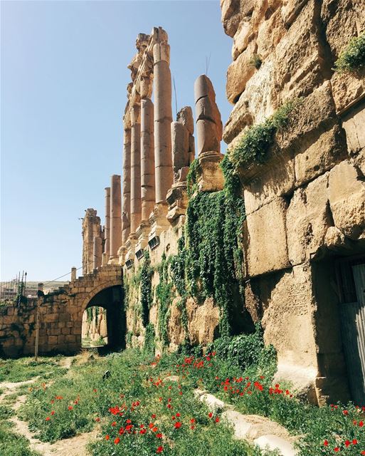  livelovebeirut  livelovelebanon  insta_lebanon  livelovenature ... (Baalbek, Lebanon)