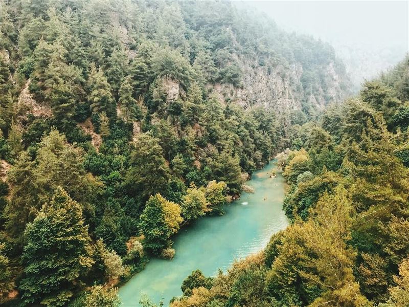  livelovebeirut  livelovelebanon  insta_lebanon  livelovenature ... (Chouwen)