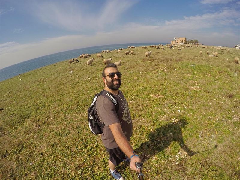  livelovebeirut  prolebanon  liveloveamchit  livelovelebanon ...