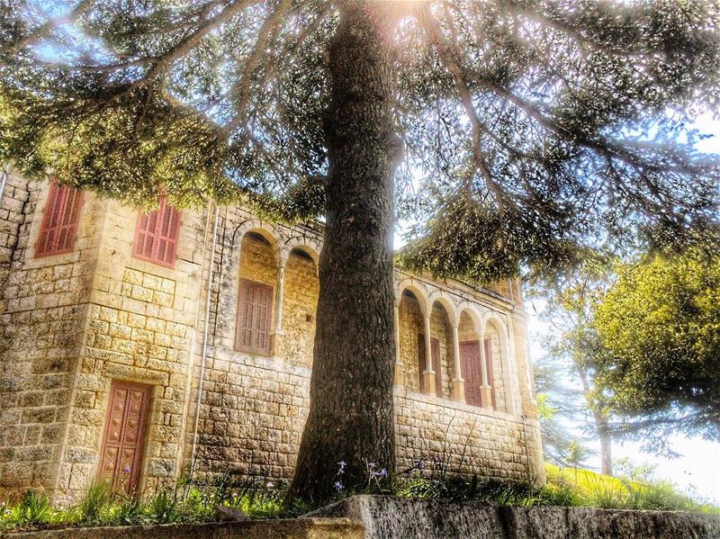 . .   livelovebeirut  wearelebanon   lebanon livelovelebanon... (Ain Zhalta عين زحلتا)