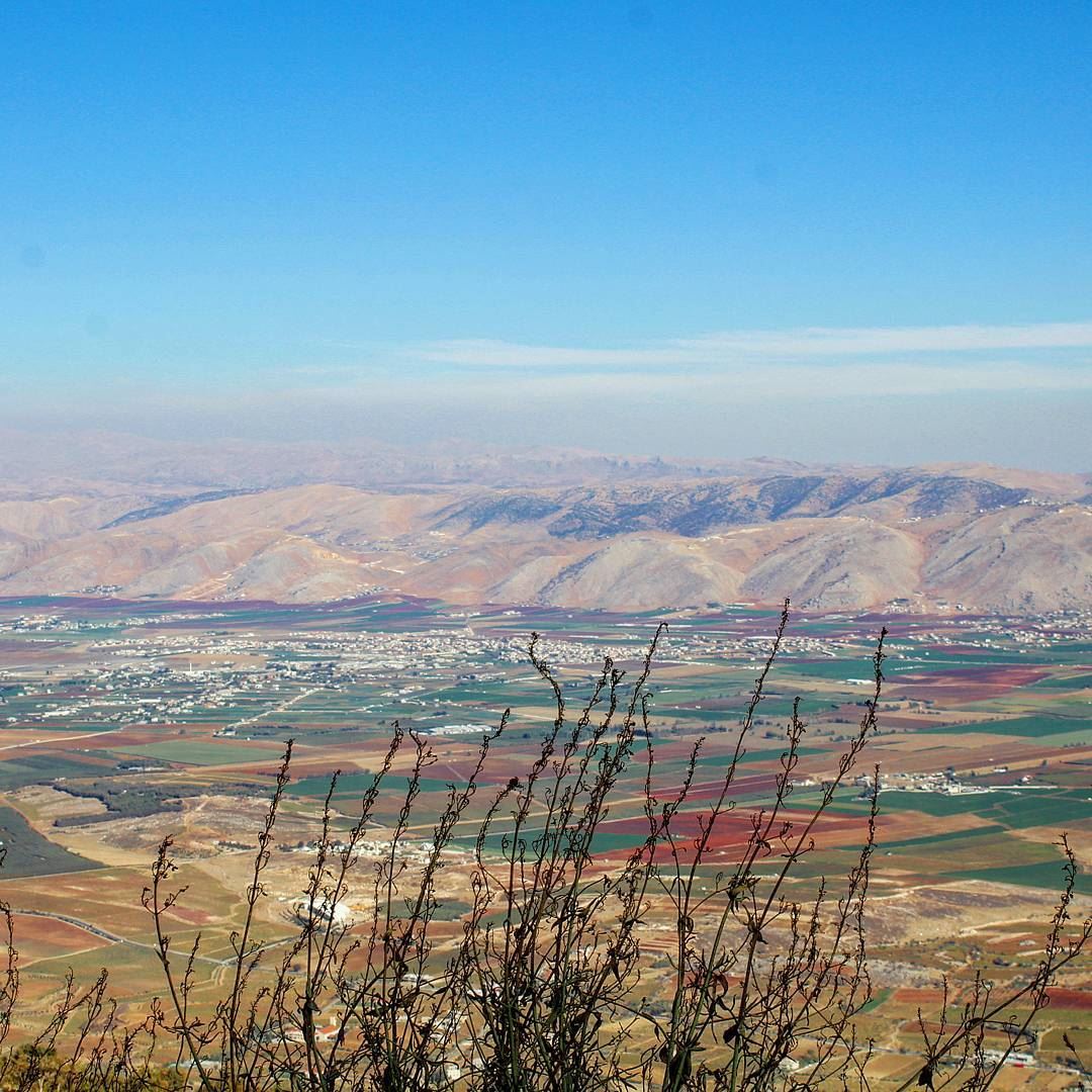  livelovebekaa  colorfulplain plain(Beqaa Valley)