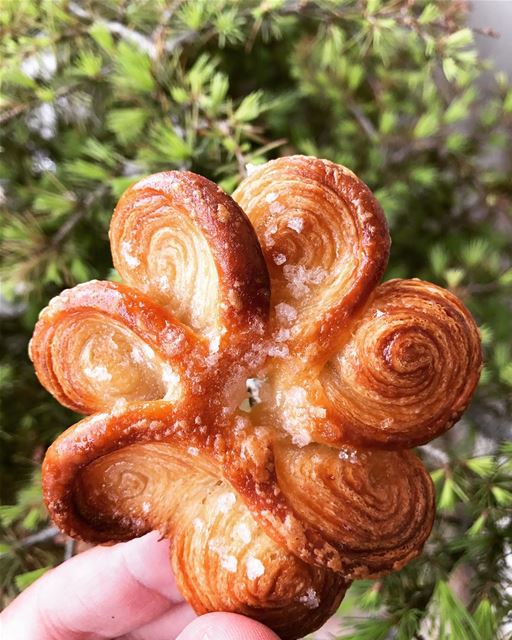 🌸😋🥐 livelovefood  livelovebeirut  beirut  zahle  bekaa  pastry ...