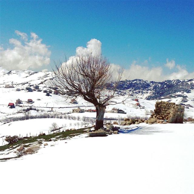  livelovelebanon  amazing  lebanon  igers  instamood  instagram  focus ...