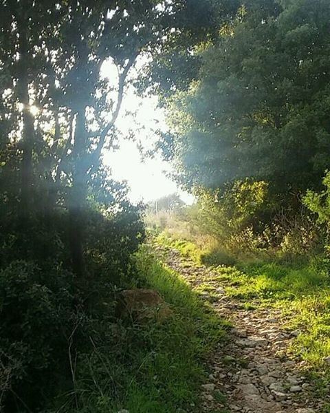  livelovelebanon  lebanoninapicture  ourlebanon🌲  welcometolebanon🇱🇧 ...