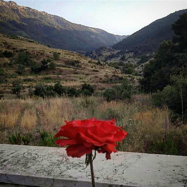  livelovelebanon liveloveakkar 🌹 (Andaket)