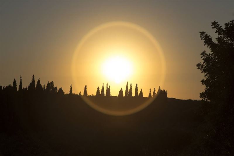  livelovelebanon  livelovebeirut  ig_lebanon  lebanonspotlights ... (Saydit L Nouriye)