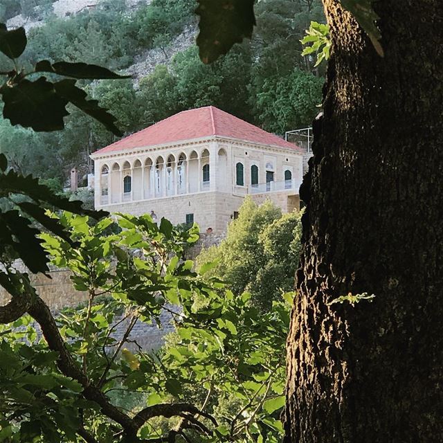  livelovelebanon livelovebeirut livelovedlebta lebanonhouses oldhouse... (Dlebta, Mont-Liban, Lebanon)