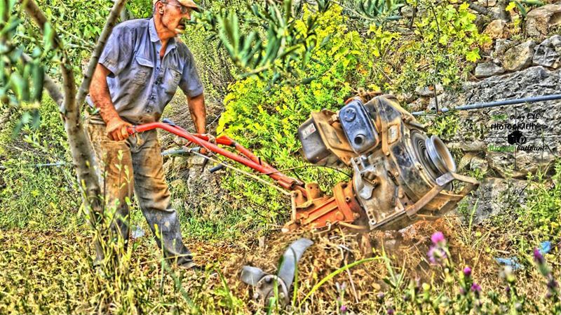  livelovelebanon  livelovechouf  livelovenature  farmer  hdr_pics ...