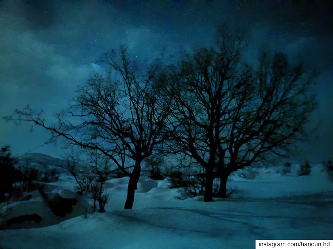  livelovelebanon  livelovetarchich  snow  snowshoeingnight  tree  moon ... (Mount Sannine)