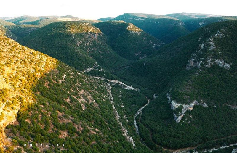 ⛰  livelovelebanon  livelovetyre  livelovesouth  nature  naturephotography... (Zebquine South Lebanon)