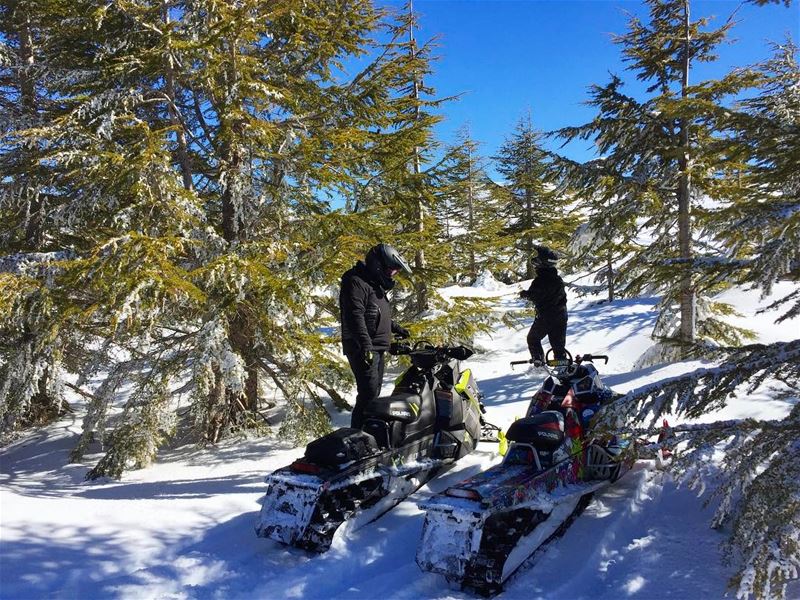 🌲 @livelovelebanon 🌲 polarisrider  polarislebanon  zaarourclub ...