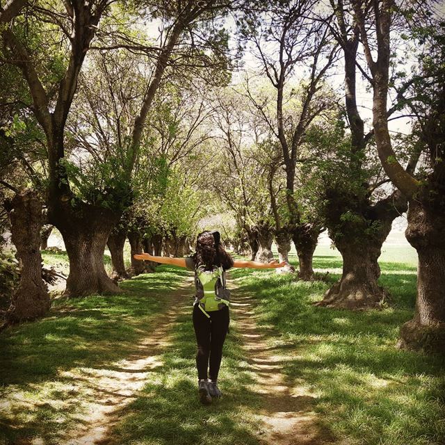  livelovelebanon westbekaa ammiq hikingislife hikinggirl instalebanon...