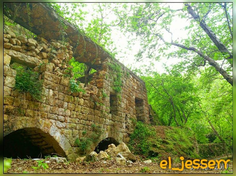  livelovelebanon ✌ مافي أجمل من لبنان🌳🍁⛅ (Deir Doureet, Mont-Liban, Lebanon)