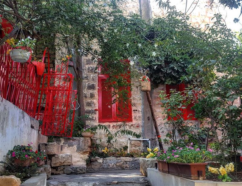  livelovenabatiyeh   lebanonpictures  south_lebanon ... (Nabatîyé)