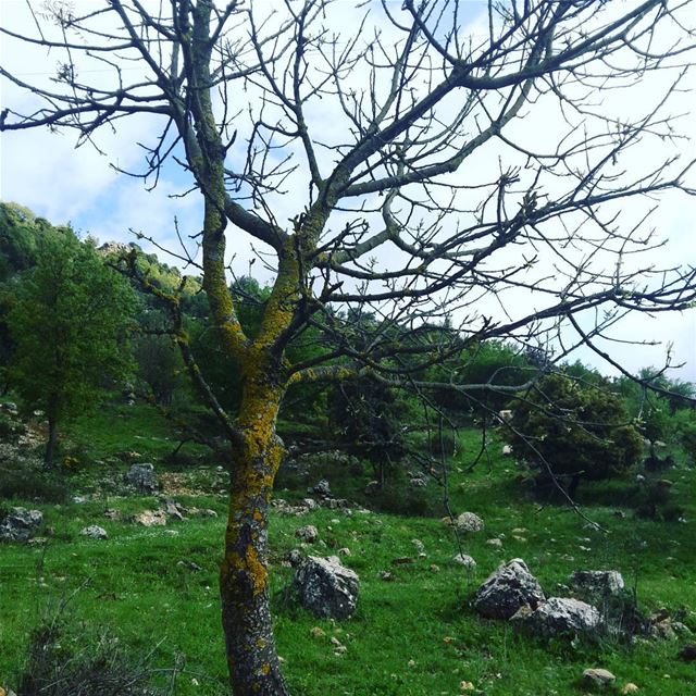  livelovenature  livelovelebanon  jezzine ... (الريحان - جنوب لبنان)
