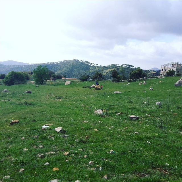  livelovenature  livelovelebanon  jezzine ... (الريحان - جنوب لبنان)