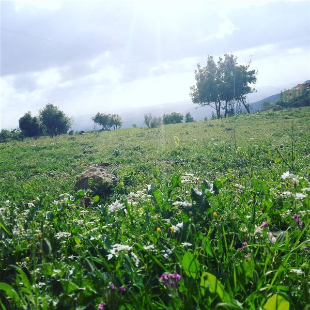  livelovenature  livelovelebanon ... (الريحان - جنوب لبنان)