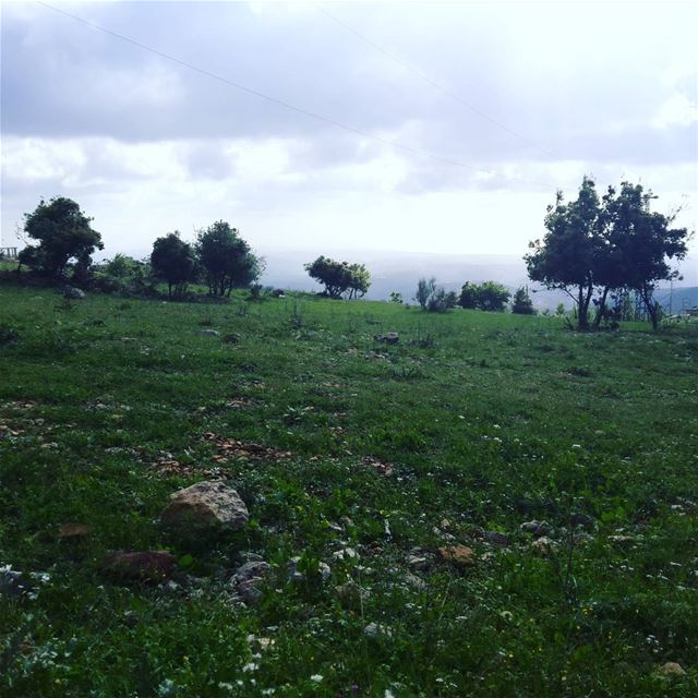  livelovenature  livelovelebanon ... (الريحان - جنوب لبنان)