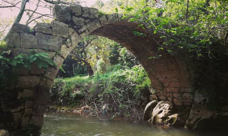  livelovenature  livelovetannourine  river  bridge  livelovelebanon ... (Nahr el Jaouz)