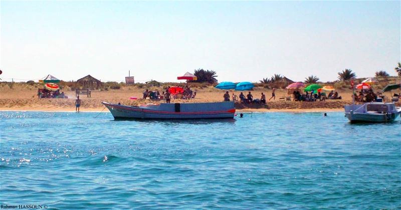 ⛱  LiveLoveTripoli  LiveLoveElMina   palmislands  rabbitsisland  TripoliLB... (Rabbit Island)