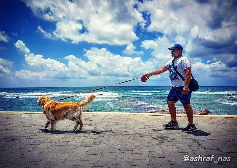  livelovetyre  livelovebeirut  TyrePage  livelovejnoub  top_arabpic ... (Tyre, Lebanon)
