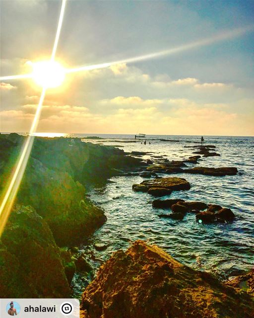 livelovetyre  livelovelebanon  visitlebanon  tyre  tyros  phoenicia ...