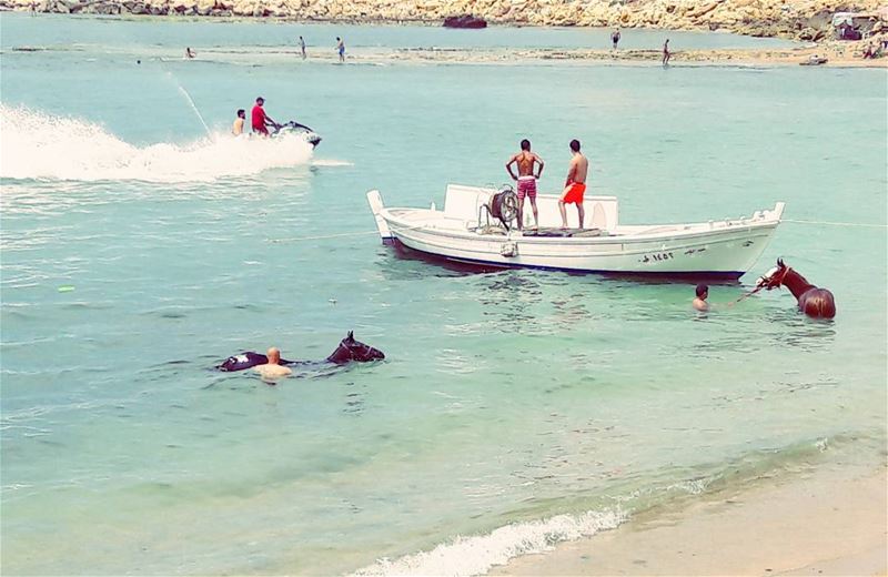 🌊🌊🌊 🐴🐴🐴  LiveLoveWeekends  Tripoli  TripoliLB  Mina  Lebanon ... (Tripoli, Lebanon)