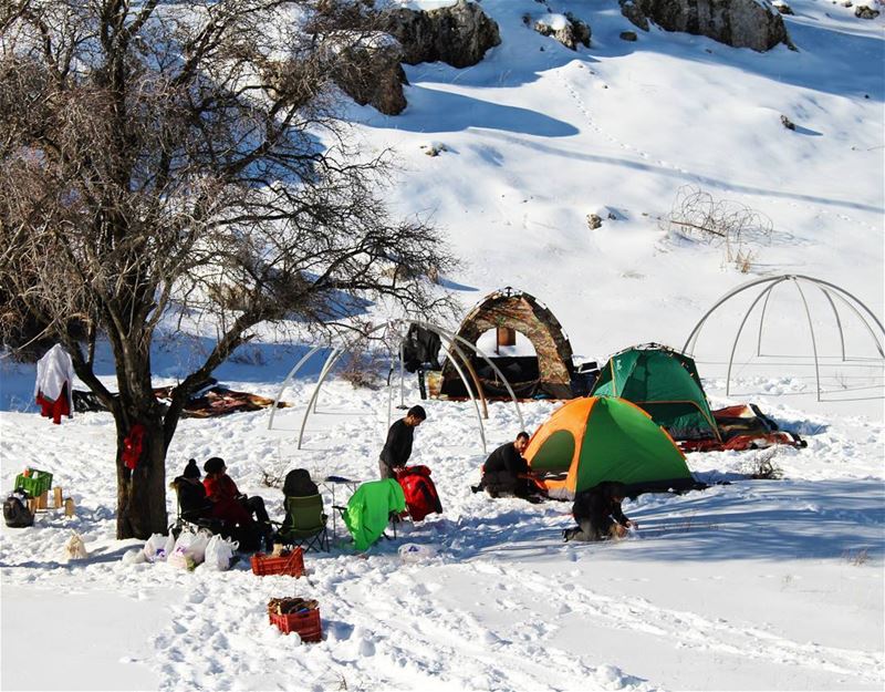 Living the wildlife! outdoorphotography  outdoor  snow  snowphotography ... (Bâloûaa Balaa)